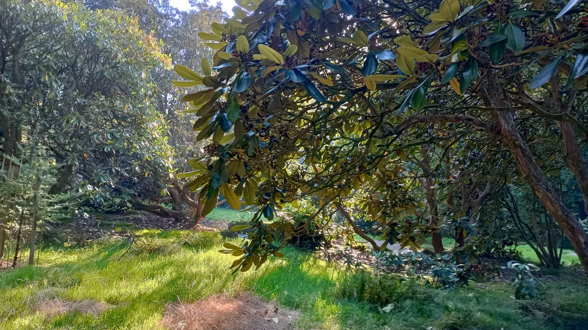 „Na marginesie”