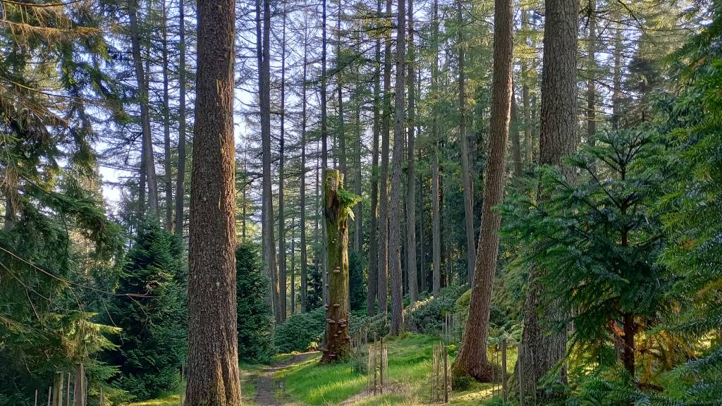 Nature